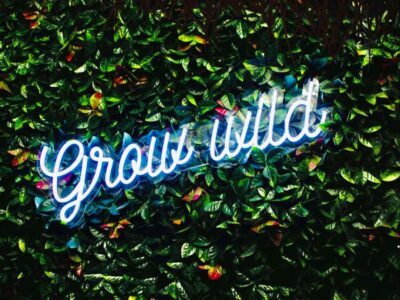 Grow Wild Neon Sign